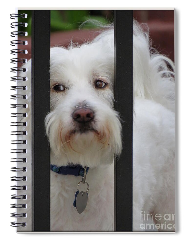 Ella Spiral Notebook featuring the photograph Busted by Ella Kaye Dickey