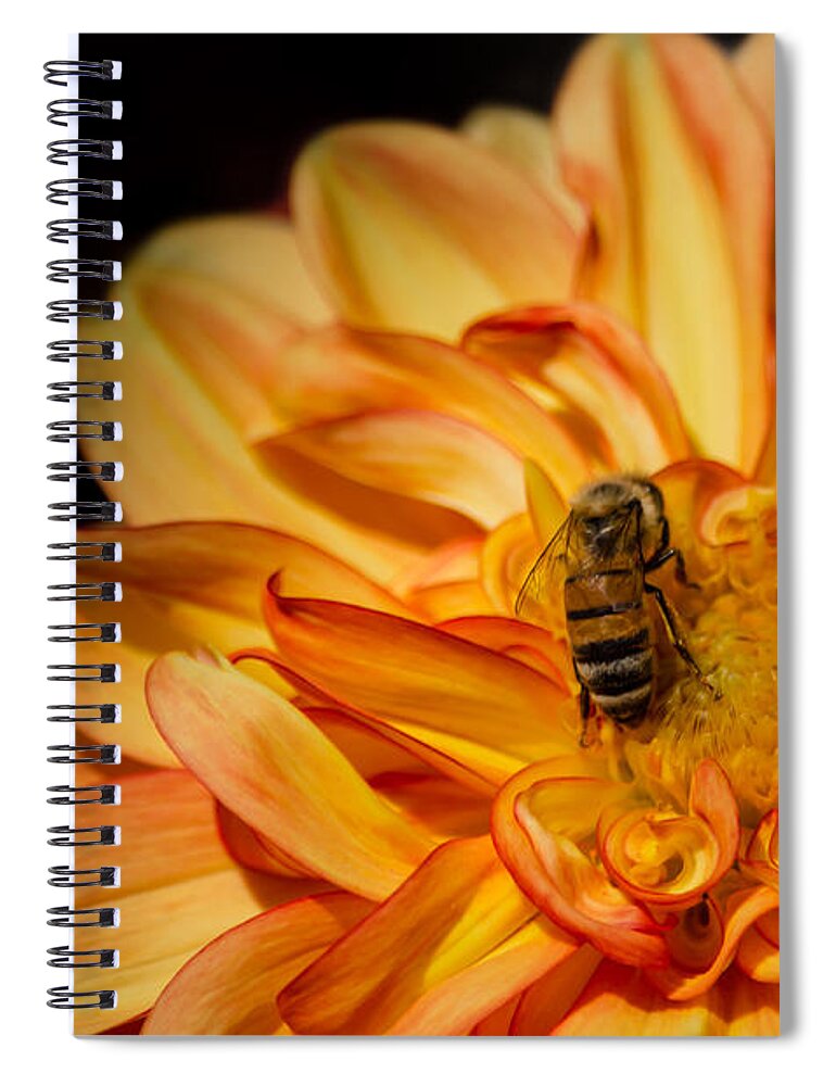 Dahlia Spiral Notebook featuring the photograph Busy Bee Dahlia by Linda Villers