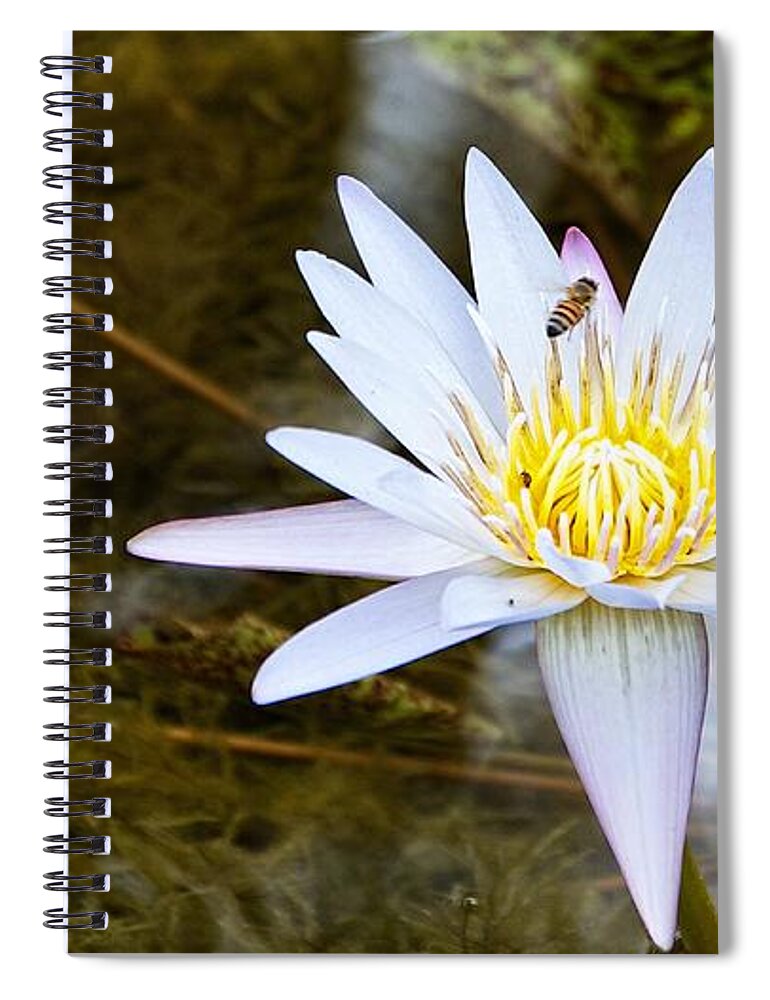 Water Lily Spiral Notebook featuring the photograph Busy Bee by Dave Files
