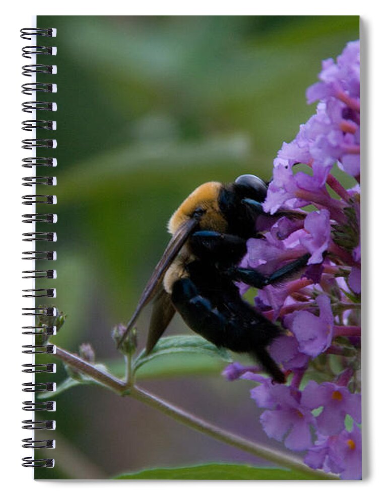 Nature Spiral Notebook featuring the photograph Busy Bee by Greg Graham