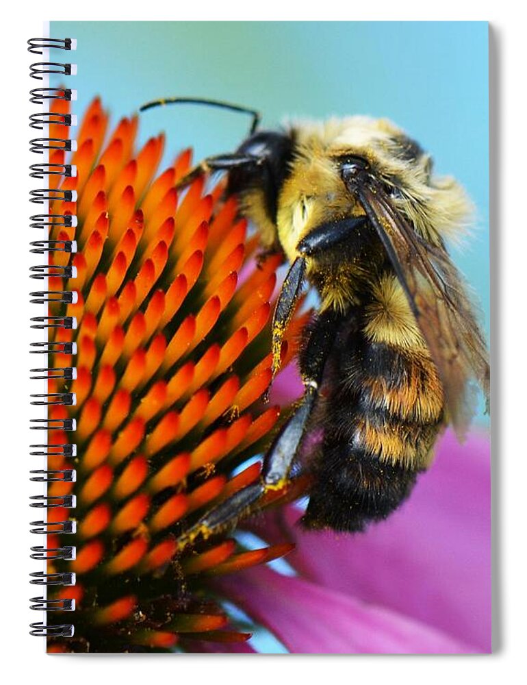 Bee Spiral Notebook featuring the photograph Busy Bee by Judy Wolinsky