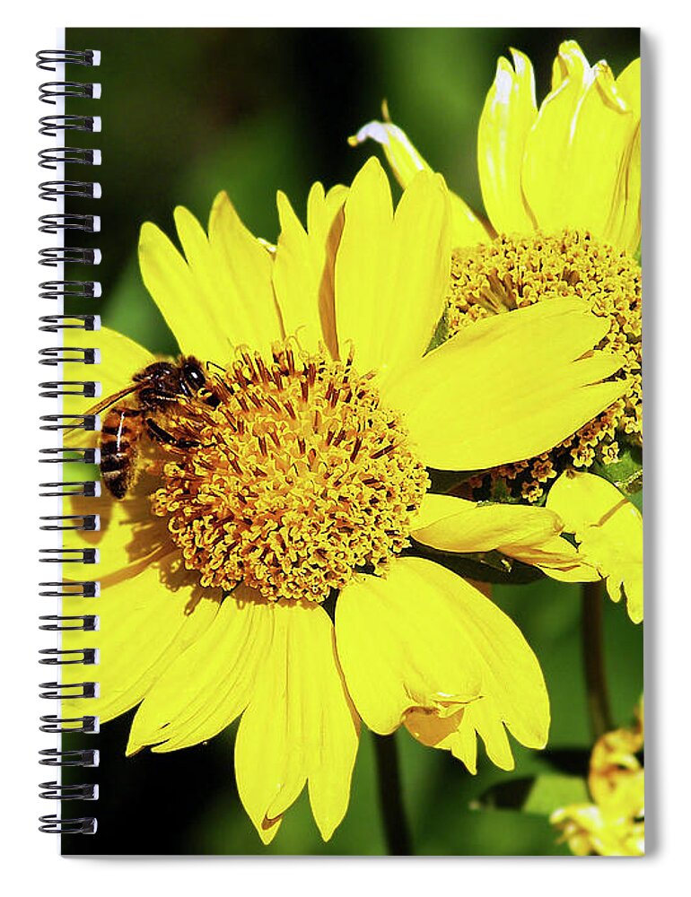 Bee Photography Spiral Notebook featuring the photograph Busy Bee by Patricia Griffin Brett