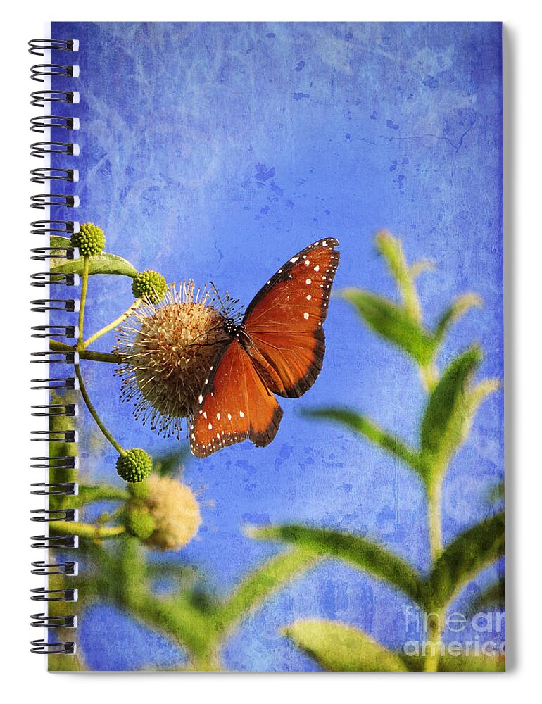 Butterflies Spiral Notebook featuring the photograph Butterfly - Bow to the Queen by Ella Kaye Dickey