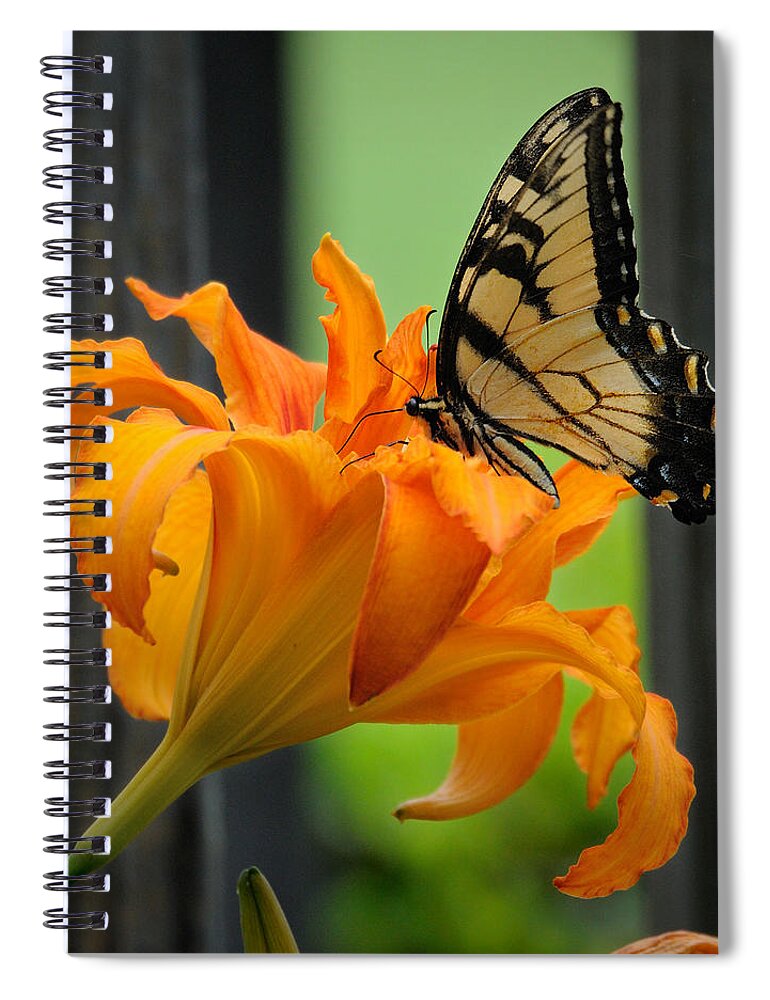 Butterfly Spiral Notebook featuring the photograph Butterfly by David Hart