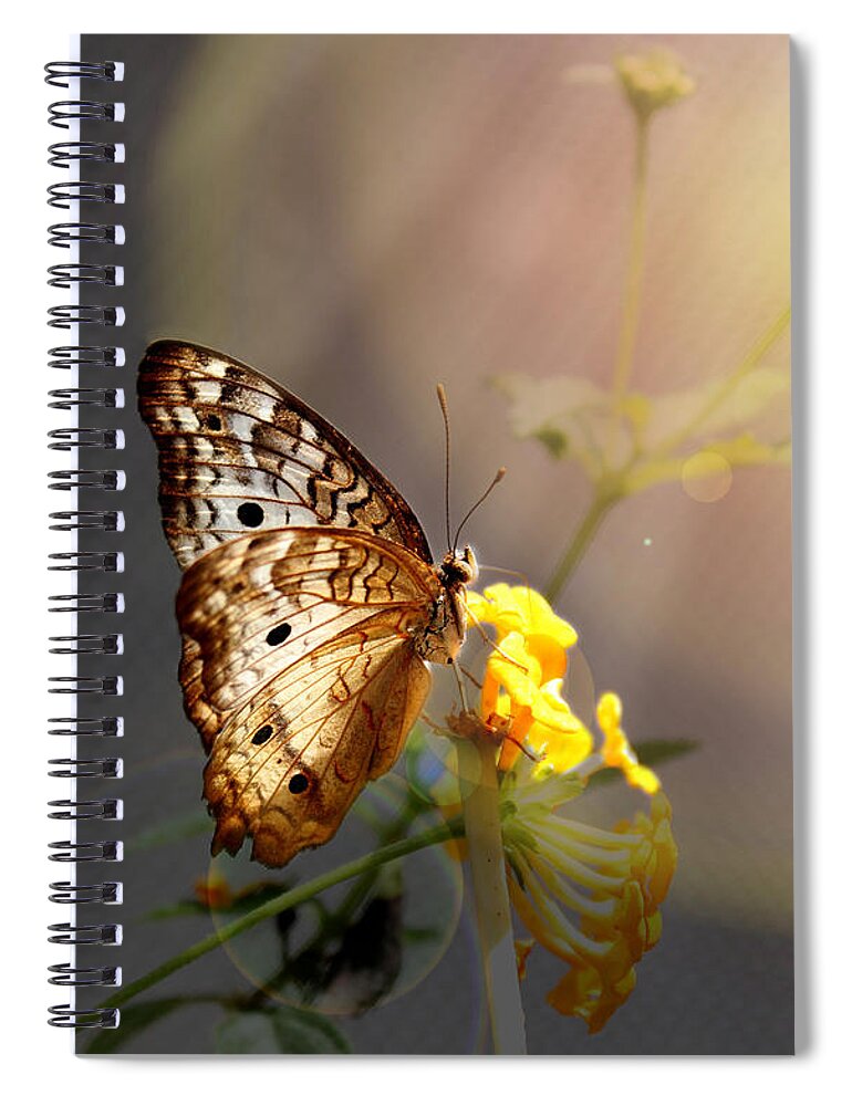 Butterfly Spiral Notebook featuring the photograph Butterfly Glow by Judy Vincent