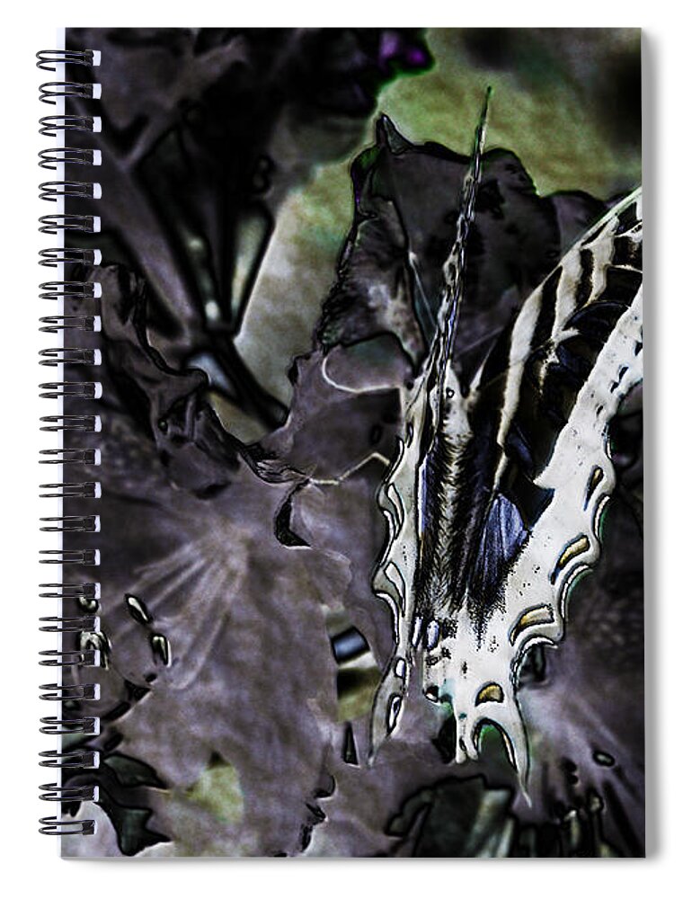 Butterfly Spiral Notebook featuring the photograph Butterfly in Violet Green and Black by Belinda Greb
