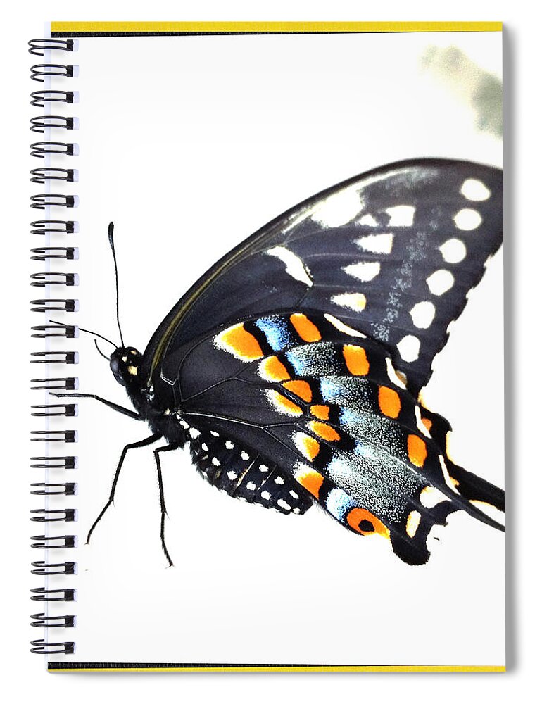 Butterfly Spiral Notebook featuring the photograph Butterfly Mellow Yellow by Dorian Hill