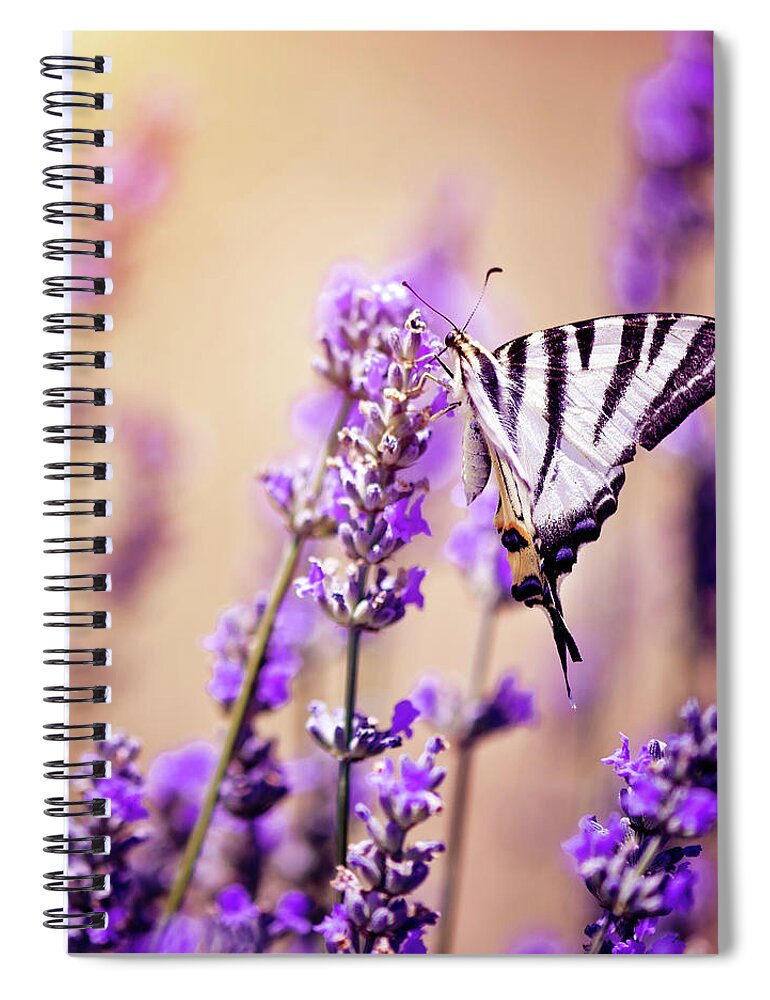 Working Spiral Notebook featuring the photograph Butterfly On Lavender by Artmarie