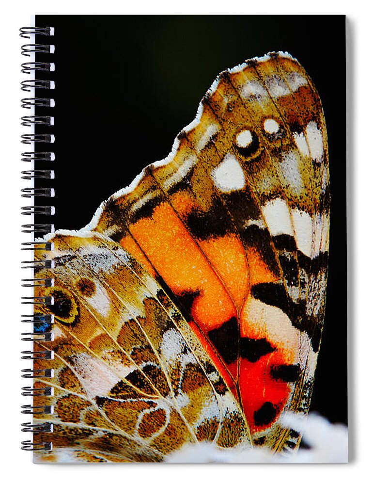 Colorful Spiral Notebook featuring the photograph Butterfly wings by Nick Biemans