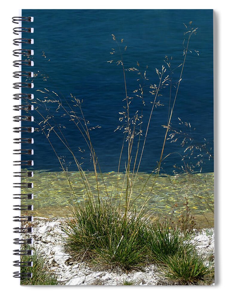 Yellowstone National Park Spiral Notebook featuring the photograph By the Water by Laurel Powell