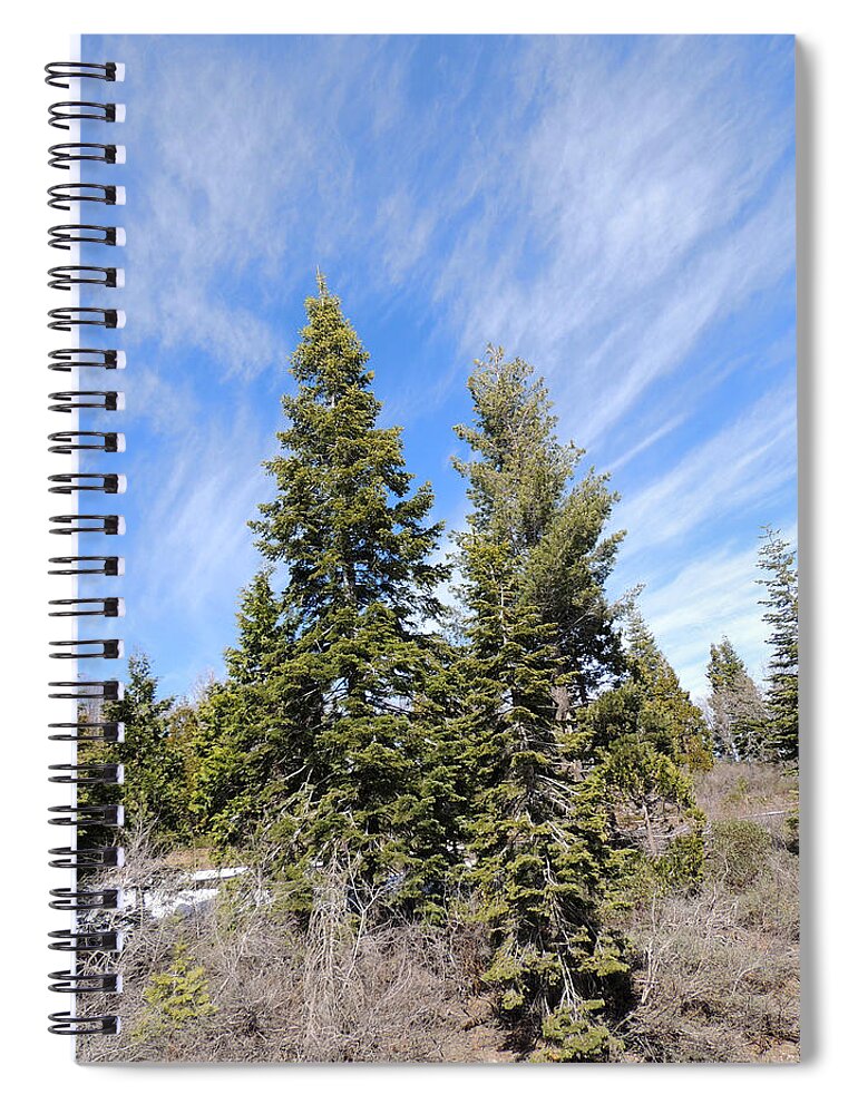 California Spiral Notebook featuring the photograph Ca I-80 0313 3343 by Andrew Chambers