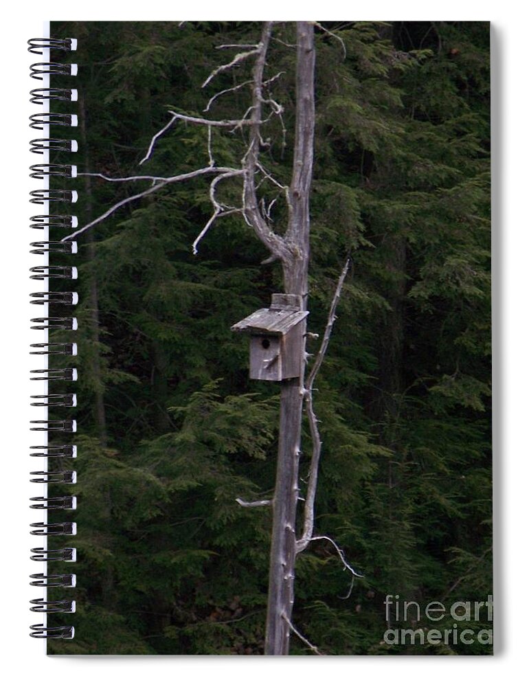 Birdhouse Spiral Notebook featuring the photograph Cabin On Mud Lake by Jackie Mueller-Jones
