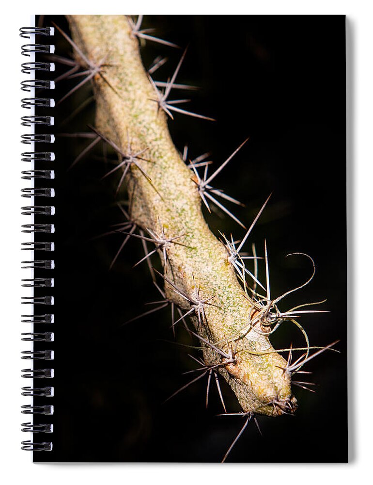 Botanical Spiral Notebook featuring the photograph Cactus Branch by John Wadleigh