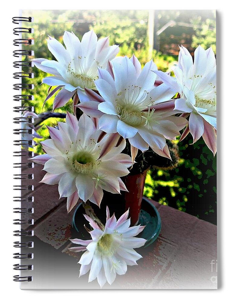 Flower Spiral Notebook featuring the photograph Cactus Flower Perfection by Leanne Seymour