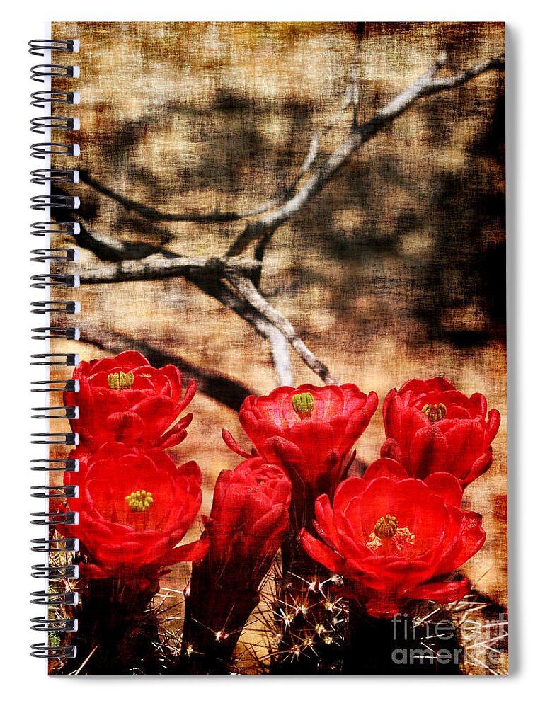 Cactus Spiral Notebook featuring the photograph Cactus Flowers 2 by Julie Lueders 