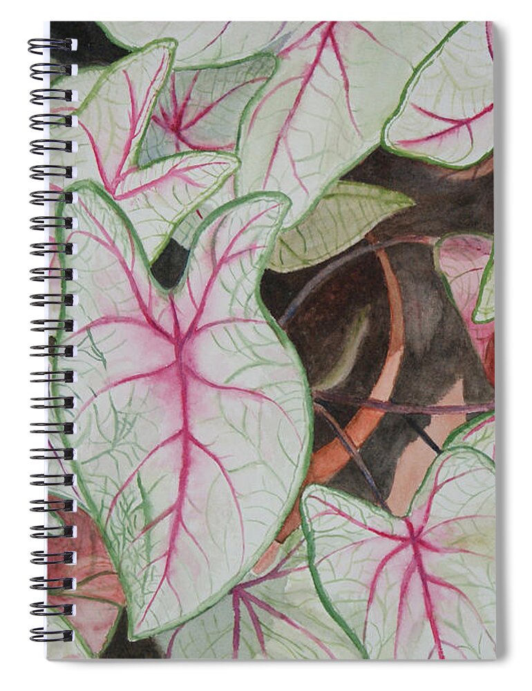 Floral Spiral Notebook featuring the painting Caladiums by Jill Ciccone Pike
