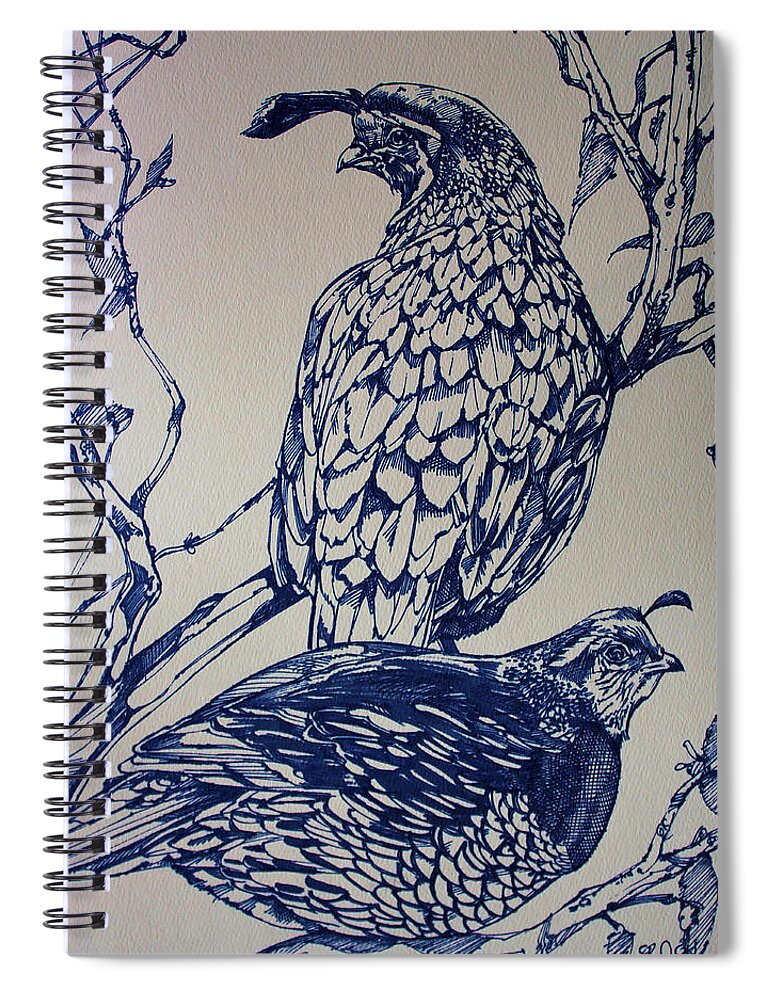 Birds Spiral Notebook featuring the drawing California Quail by Derrick Higgins