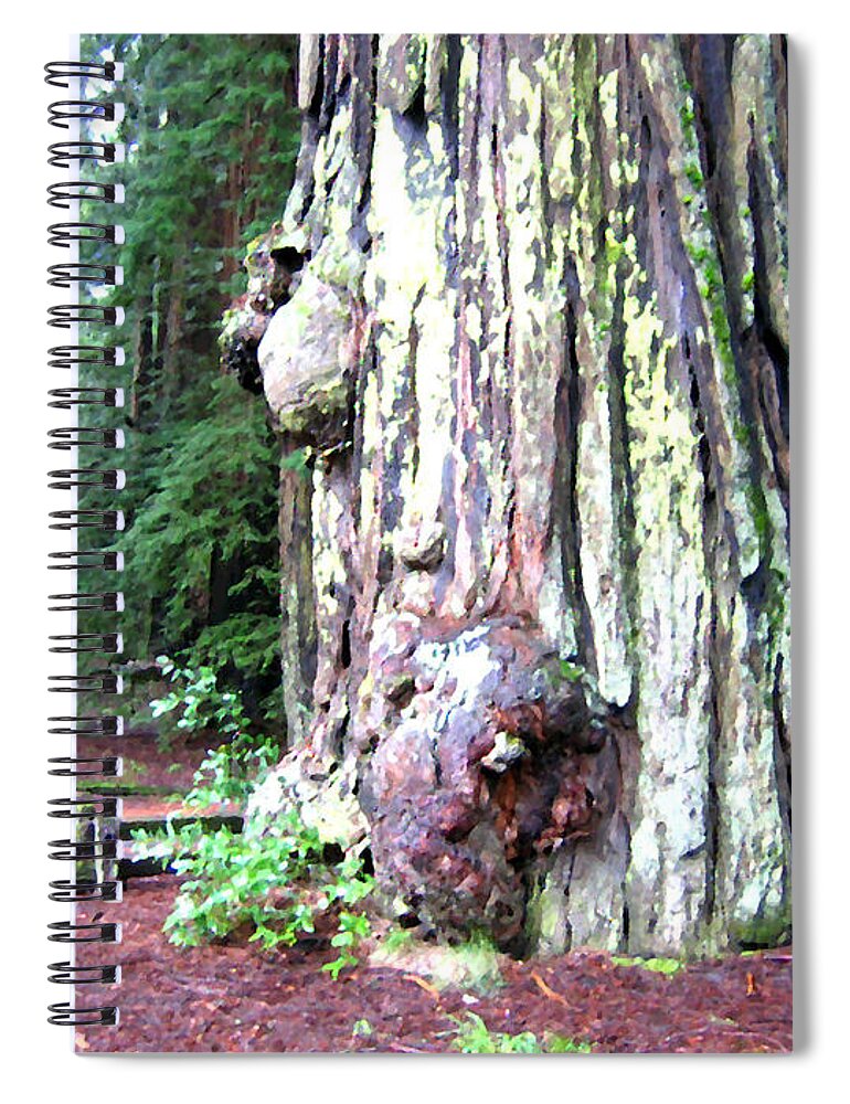 California Redwoods 4 Spiral Notebook featuring the digital art California Redwoods 4 by Will Borden