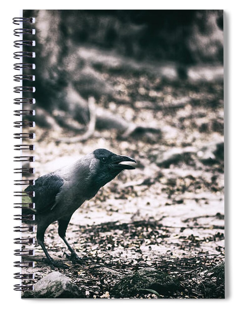 Crow Spiral Notebook featuring the photograph Call of the Crow by Scott Wyatt