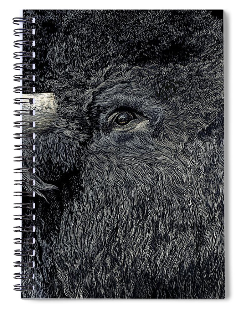 Bison Spiral Notebook featuring the drawing Call of the Prairie by Ann Ranlett