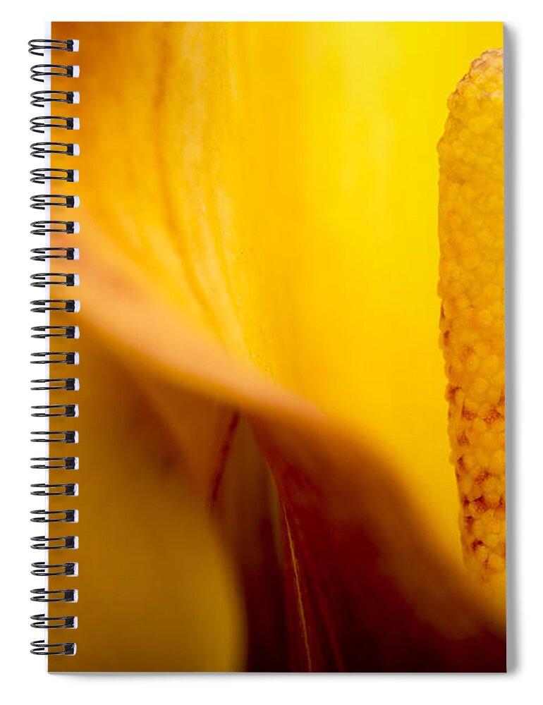 Green Spiral Notebook featuring the photograph Calla Lily by Sebastian Musial
