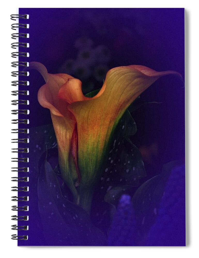 Calla Lily Spiral Notebook featuring the photograph Calla Study No. 1 by Richard Cummings