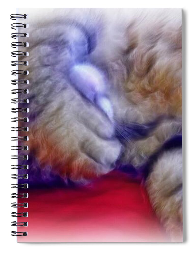 Cat Spiral Notebook featuring the photograph Camera Shy Kitty by Lilia D