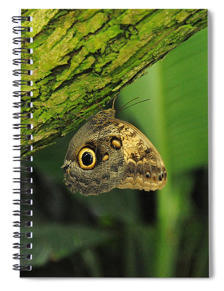 Wildlife Spiral Notebook featuring the photograph Camouflage by Richard Gehlbach