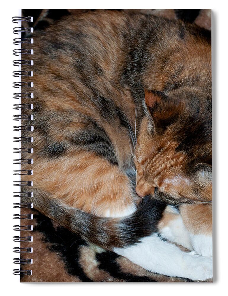 Fur Spiral Notebook featuring the photograph Camouflaged by Tikvah's Hope