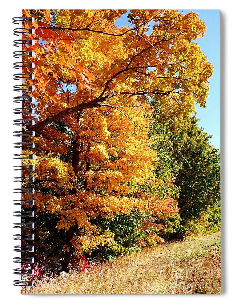 Autumn Spiral Notebook featuring the photograph Canadian Autumn by Cristina Stefan