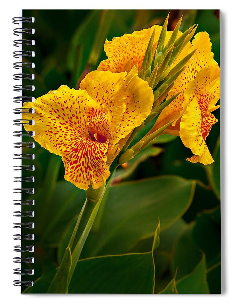 Canna Spiral Notebook featuring the photograph Canna Blossom by Mary Jo Allen