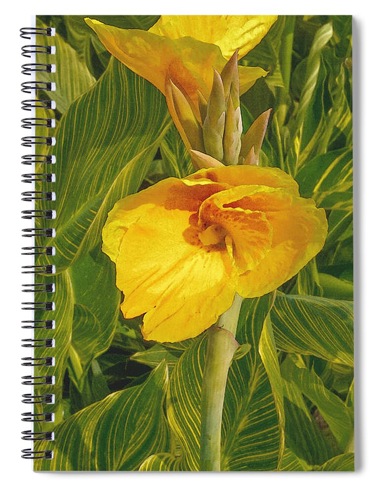 Cana Desperes Lodge Flower Yellow Green Spiral Notebook featuring the photograph Canna Lily Artified by David Coblitz