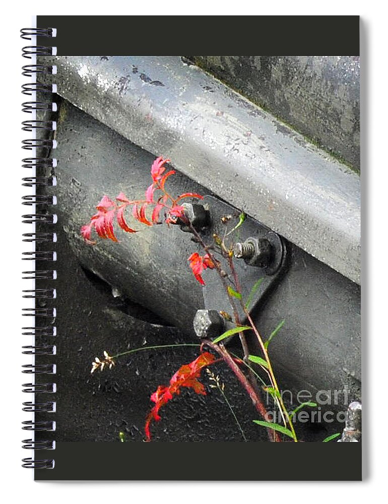 Metal Spiral Notebook featuring the photograph Canon Metal by Randi Grace Nilsberg