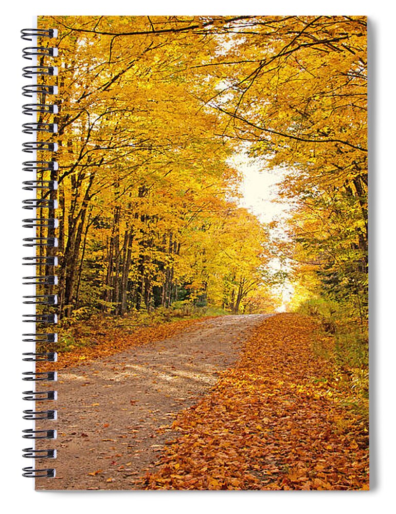 Fall Foliage Spiral Notebook featuring the photograph Canopy of Fall by Gwen Gibson
