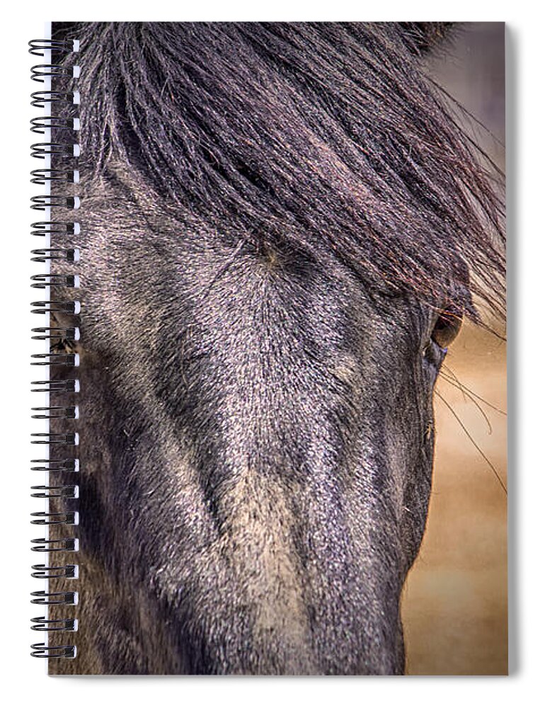 Horse Spiral Notebook featuring the digital art Care for Me by Georgianne Giese