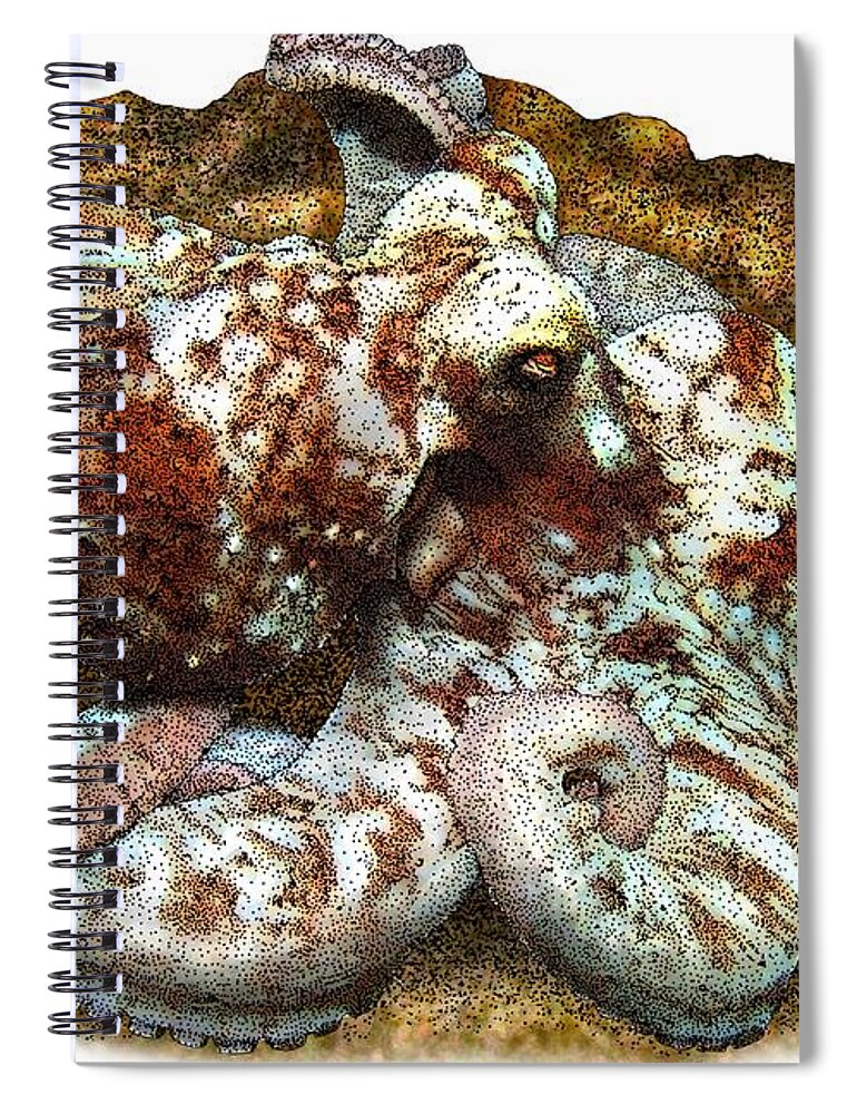 Ocean Life Spiral Notebook featuring the photograph Caribbean Reef Octopus by Roger Hall