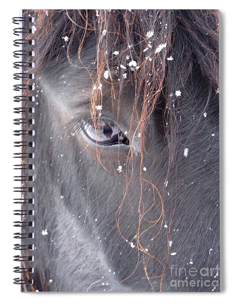 Fell Pony Spiral Notebook featuring the photograph Carol's Winter Kiss by Lori Ann Thwing