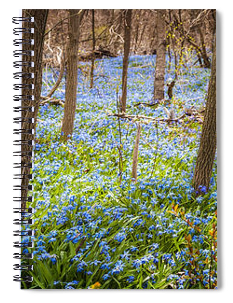 Flowers Spiral Notebook featuring the photograph Carpet of blue flowers in spring forest 3 by Elena Elisseeva