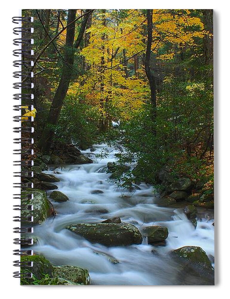 Art Prints Spiral Notebook featuring the photograph Cascades on the Motor Nature Trail by Nunweiler Photography