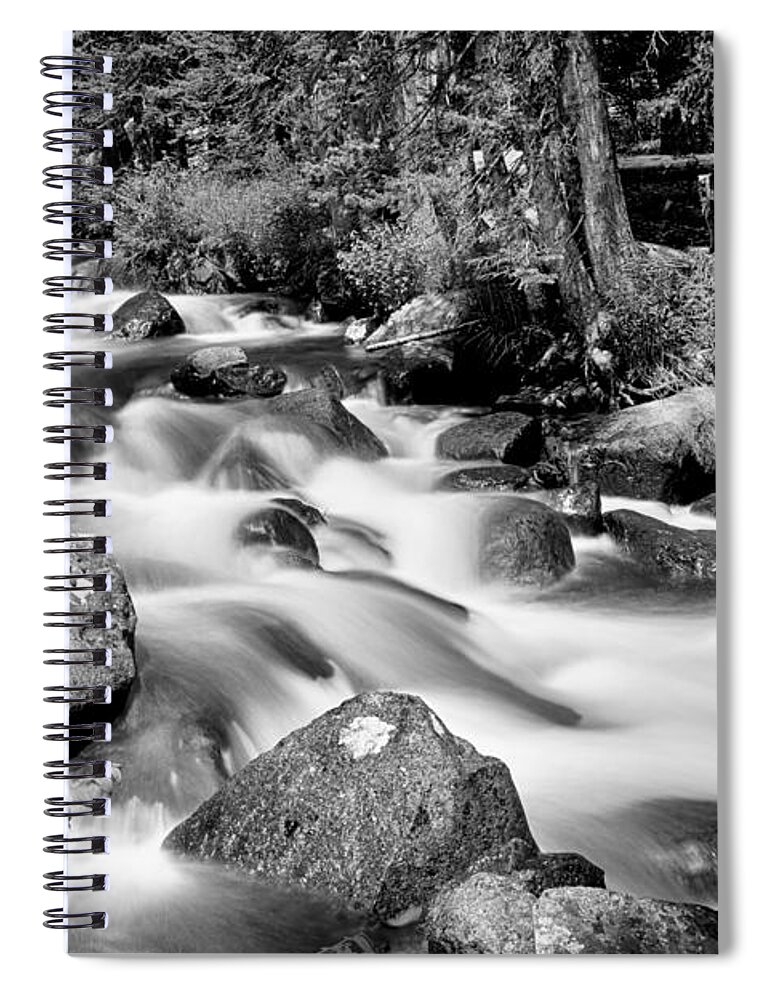 Mountain Stream Spiral Notebook featuring the photograph Cascading Rocky Mountain Forest Creek BW by James BO Insogna