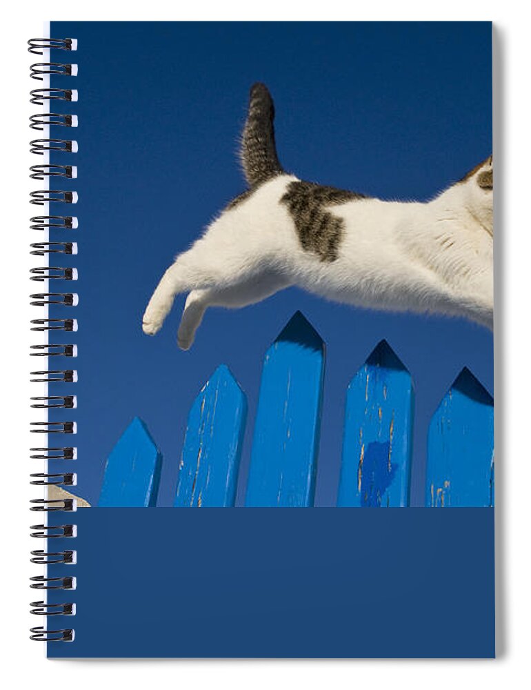 Cat Spiral Notebook featuring the photograph Cat Jumping A Gate by Jean-Louis Klein and Marie-Luce Hubert