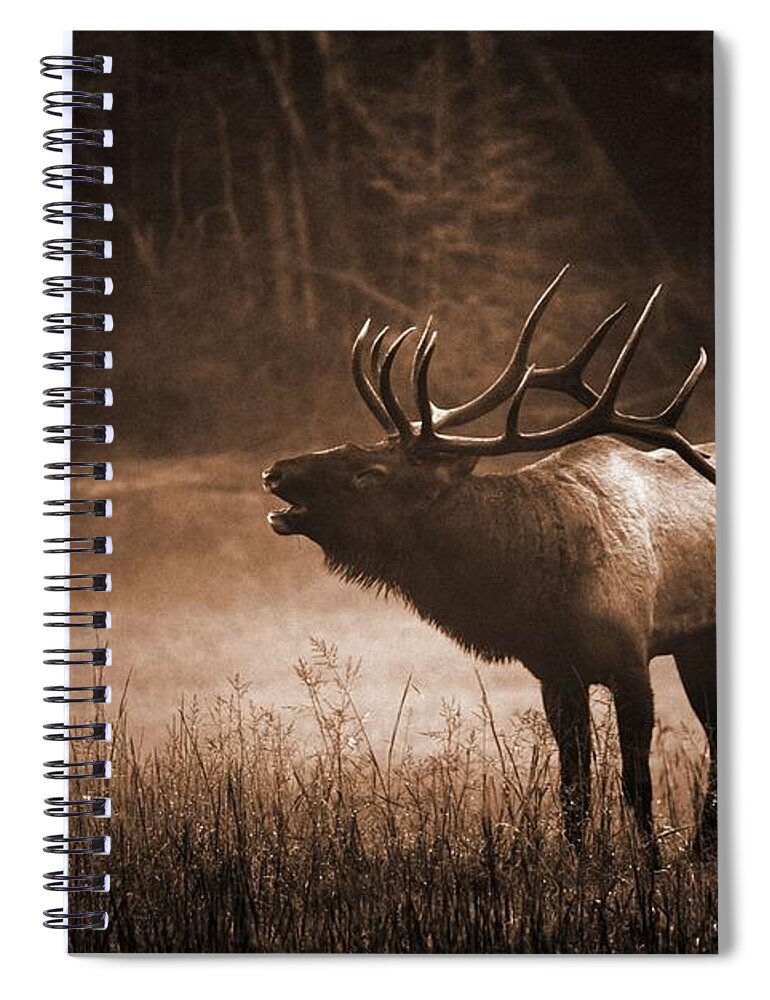 Carol R Montoya Spiral Notebook featuring the photograph Cataloochee Bull Elk in Sepia by Carol Montoya