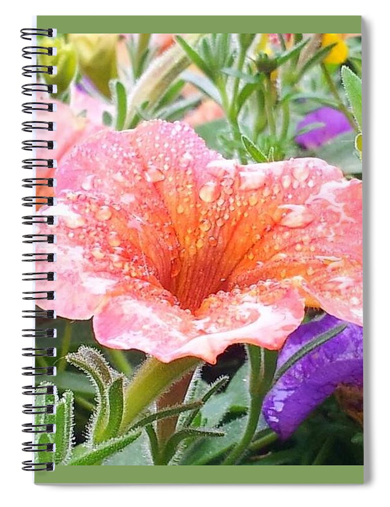 Flowers Spiral Notebook featuring the photograph Catching Raindrops by Dani McEvoy