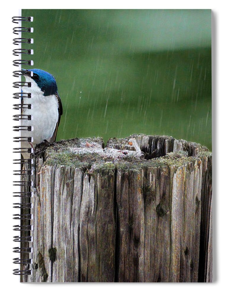 Bird Spiral Notebook featuring the photograph Catching Raindrops by Jai Johnson