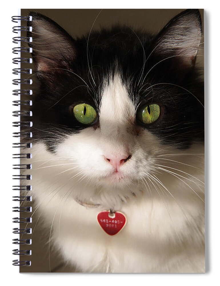 Karen Zuk Rosenblatt Art And Photography Spiral Notebook featuring the photograph Cat's Eye by Karen Zuk Rosenblatt