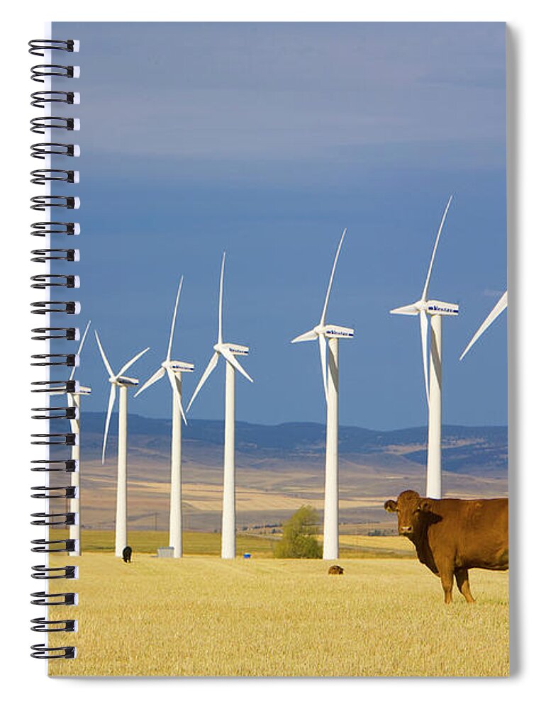 00431076 Spiral Notebook featuring the photograph Cattle And Windmills in Alberta Canada by Yva Momatiuk and John Eastcott