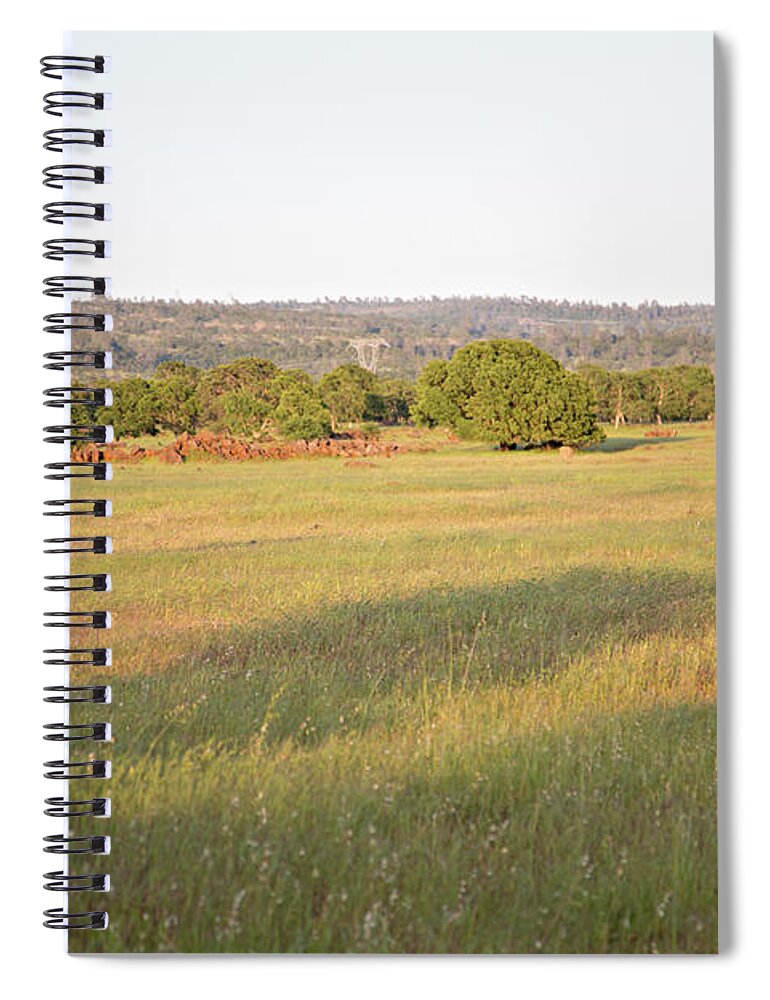 Scenics Spiral Notebook featuring the photograph Cattle Grazing In The Field by Debbismirnoff