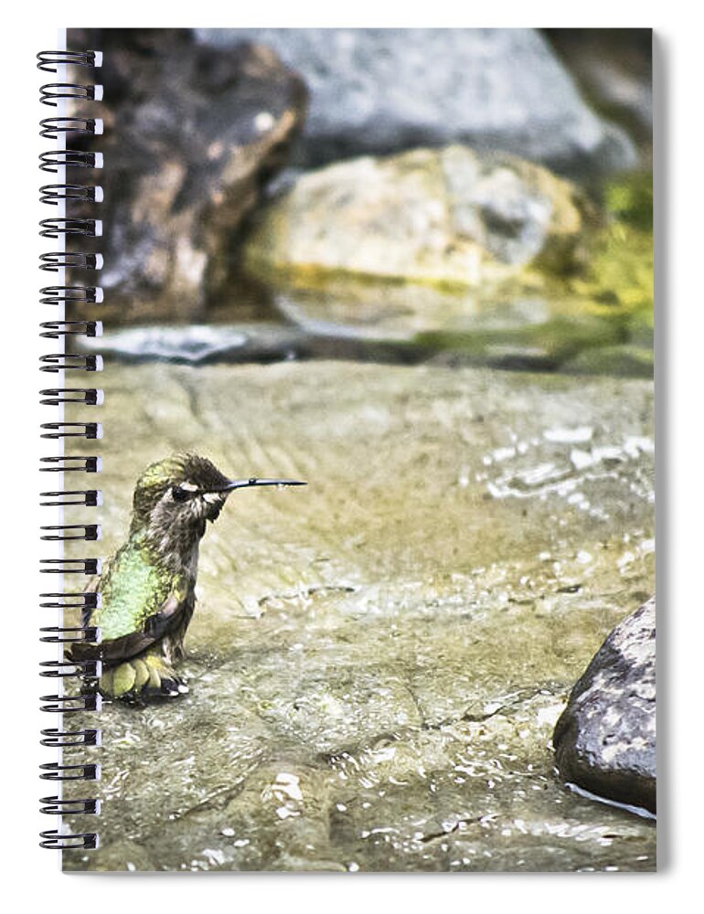 Hummingbird Spiral Notebook featuring the photograph Caught In The Act by Priya Ghose