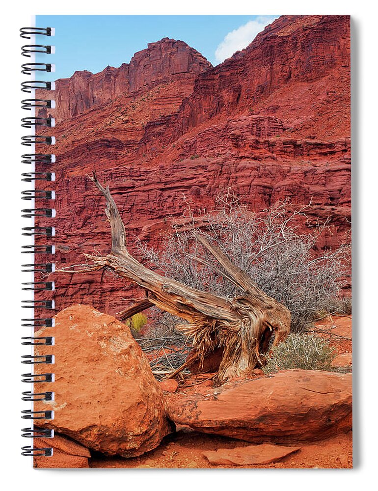 Cedar Tree Spiral Notebook featuring the photograph Cedar Wood Tree, Fisher Towers, Moab by Fotomonkee