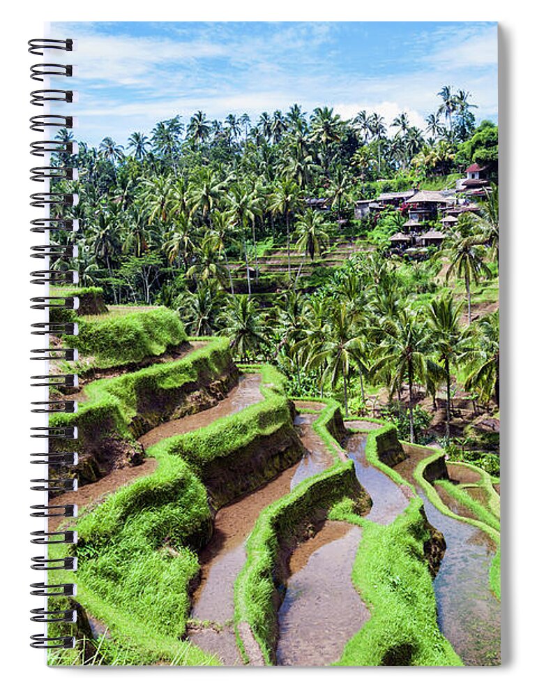 Tranquility Spiral Notebook featuring the photograph Ceking Rice Terraces, Ubud, Bali by John Harper